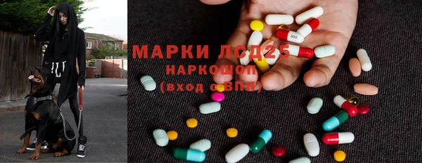 стаф Абаза